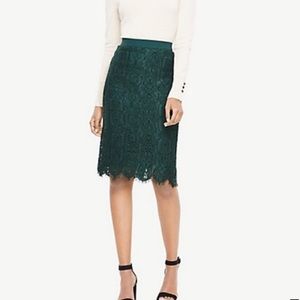 Ann Taylor Lace Pencil Skirt - Size 6